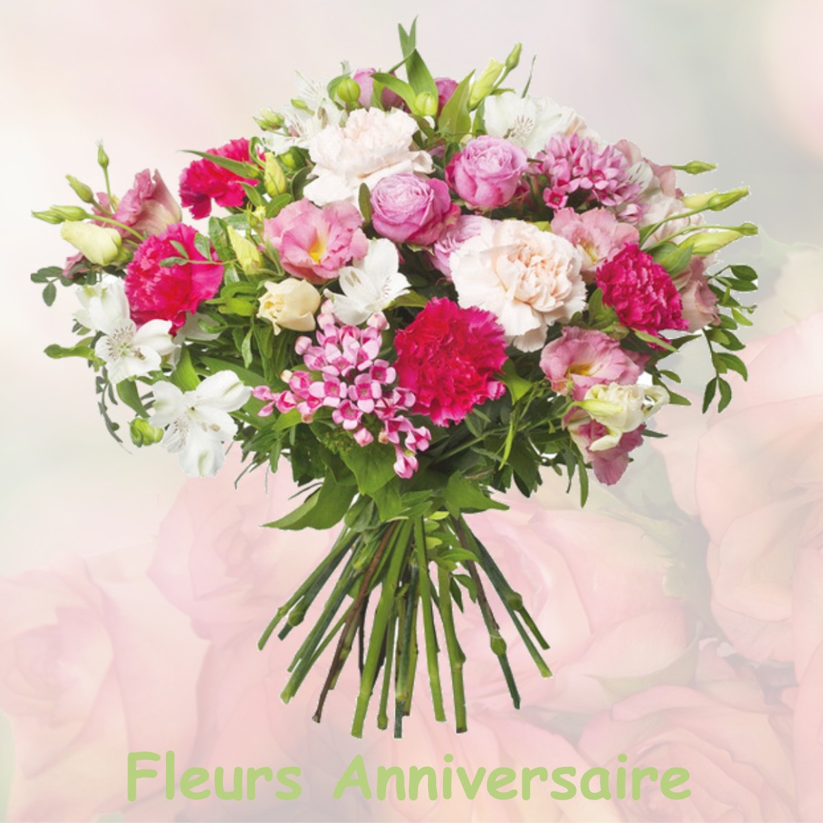 fleurs anniversaire VILLENEUVE
